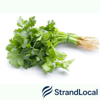 Fresh Coriander Box