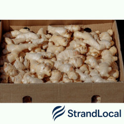 Fresh Ginger Box 9kg