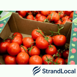 Loose Tomato 5kg Box