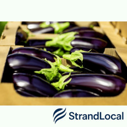 Fresh Aubergine Box 5kg