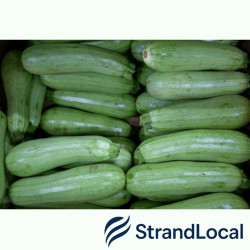 Fresh Courgette Box 5kg
