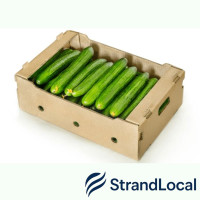 Fresh Cucumber Box