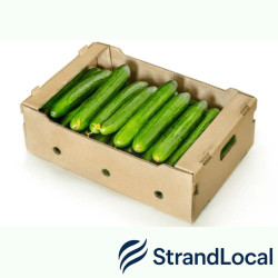 Fresh Cucumber Box