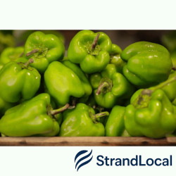 Green Pepper Box 5kg