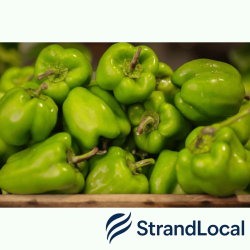 Green Pepper Box 5kg