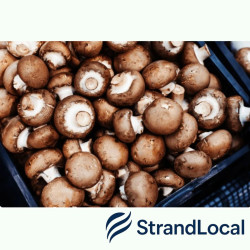 Fresh Mushroom Box 3kg