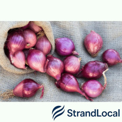 Red Onion 4kg bag