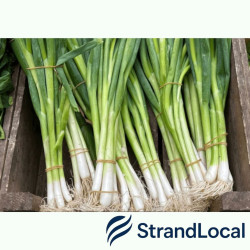 Fresh Spring Onion Box