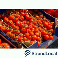 Fresh Vine Tomato 5kg Box