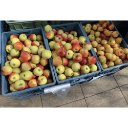 Weekly Box – Healthy Living Pack