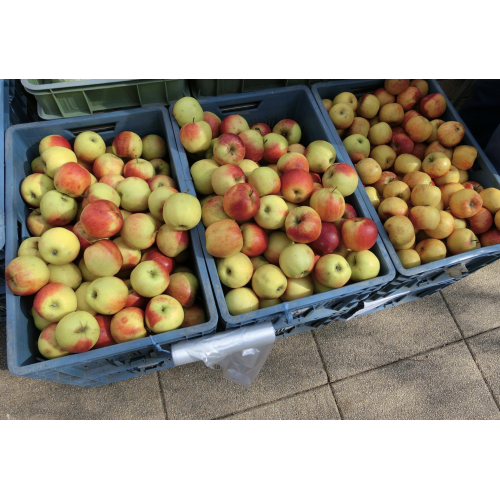 Weekly Box – Healthy Living Pack