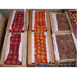 Weekly Box – Family Pack